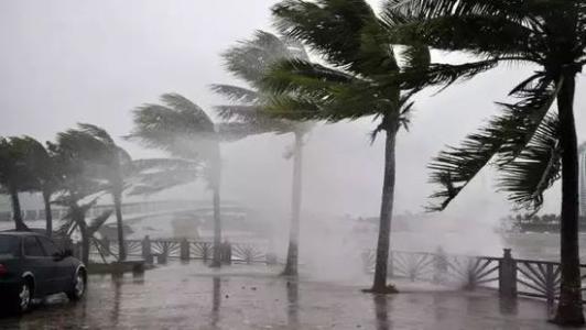 8月臺(tái)風(fēng)雨即將來(lái)，除濕機(jī)還得用起來(lái)