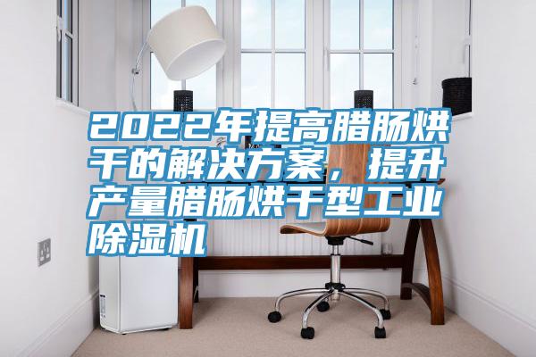 2022年提高臘腸烘干的解決方案，提升產(chǎn)量臘腸烘干型工業(yè)除濕機(jī)