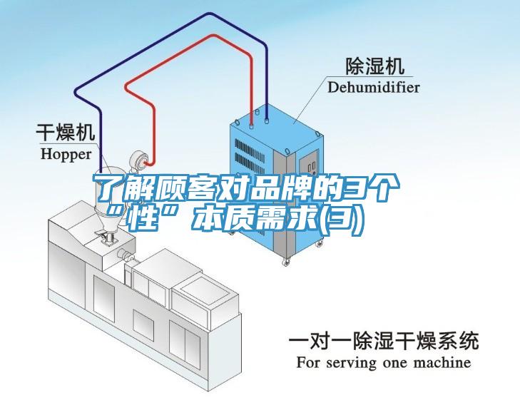 了解顧客對品牌的3個“性”本質需求(3)