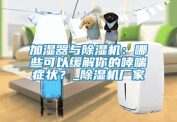 加濕器與除濕機(jī)：哪些可以緩解你的哮喘癥狀？_除濕機(jī)廠家