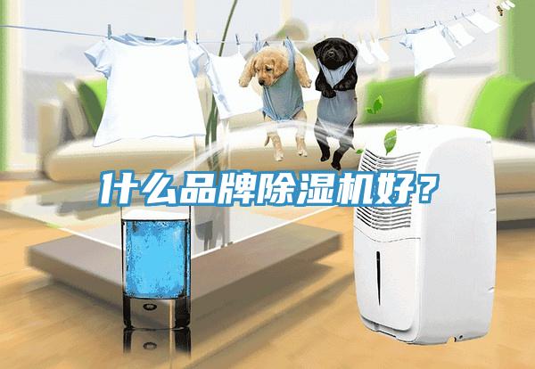 什么品牌除濕機好？