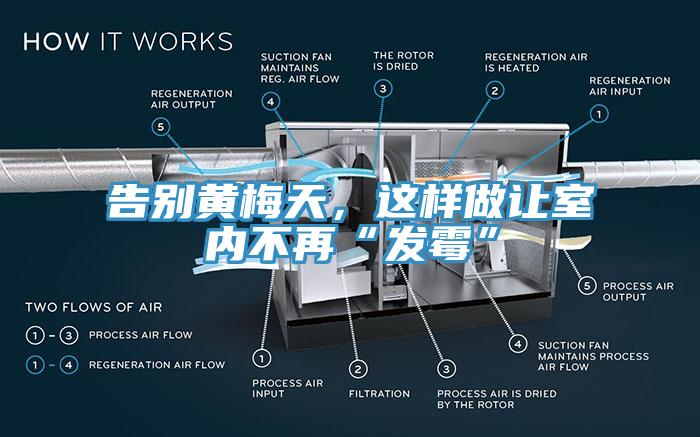 告別黃梅天，這樣做讓室內(nèi)不再“發(fā)霉”