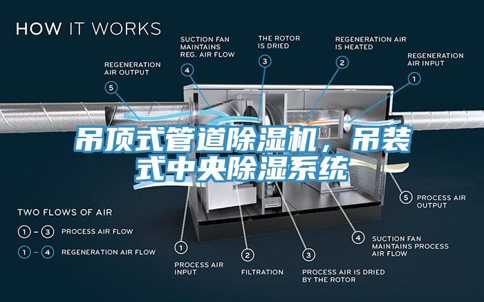 吊頂式管道除濕機(jī)，吊裝式中央除濕系統(tǒng)