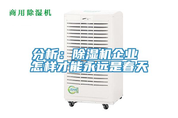 分析：除濕機(jī)企業(yè) 怎樣才能永遠(yuǎn)是春天