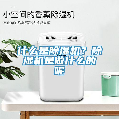 什么是除濕機？除濕機是做什么的呢