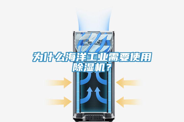 為什么海洋工業(yè)需要使用除濕機？