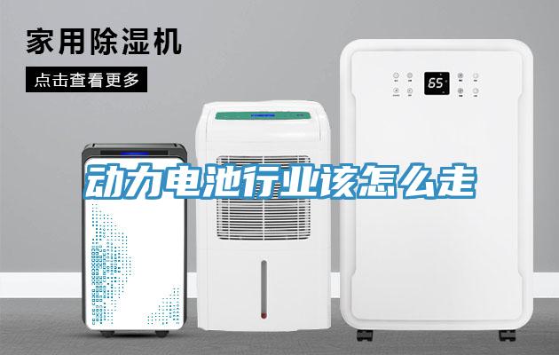 動力電池行業(yè)該怎么走