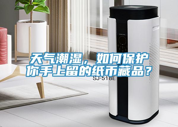 天氣潮濕，如何保護(hù)你手上留的紙幣藏品？