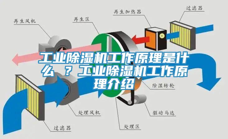 工業(yè)除濕機工作原理是什么 ？工業(yè)除濕機工作原理介紹