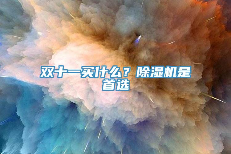 雙十一買什么？除濕機是首選