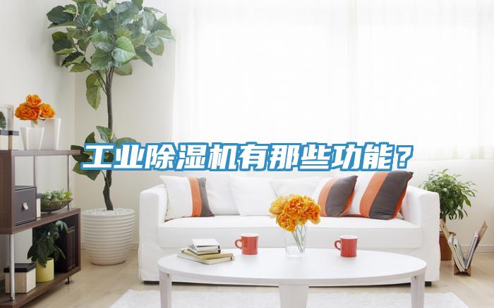 工業(yè)除濕機有那些功能？