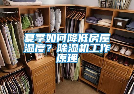 夏季如何降低房屋濕度？除濕機(jī)工作原理