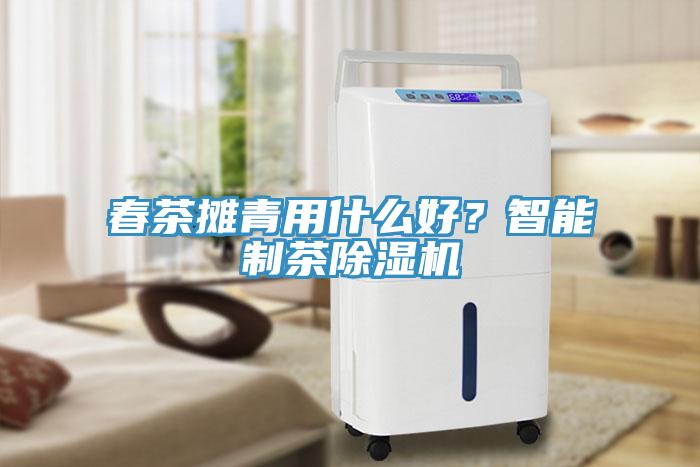 春茶攤青用什么好？智能制茶除濕機