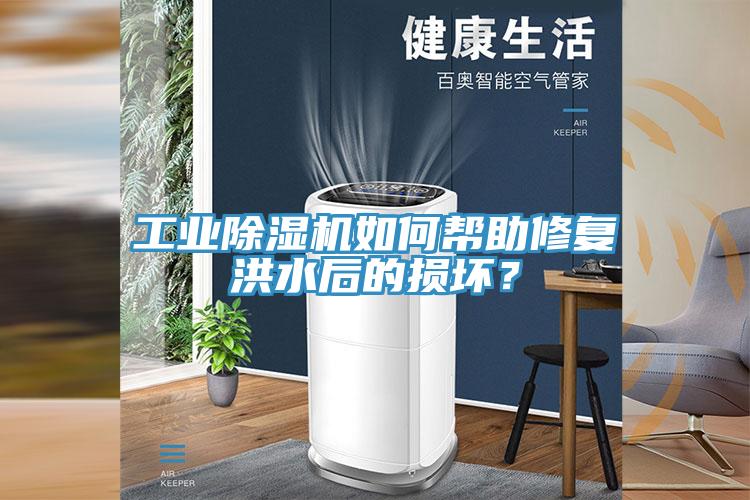 工業(yè)除濕機(jī)如何幫助修復(fù)洪水后的損壞？