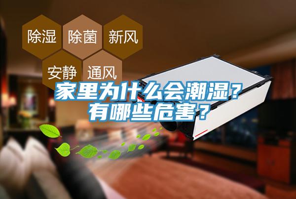 家里為什么會潮濕？有哪些危害？