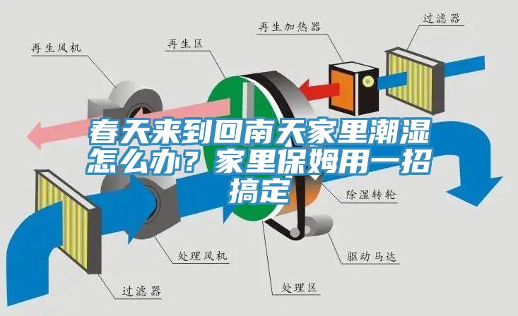 春天來到回南天家里潮濕怎么辦？家里保姆用一招搞定