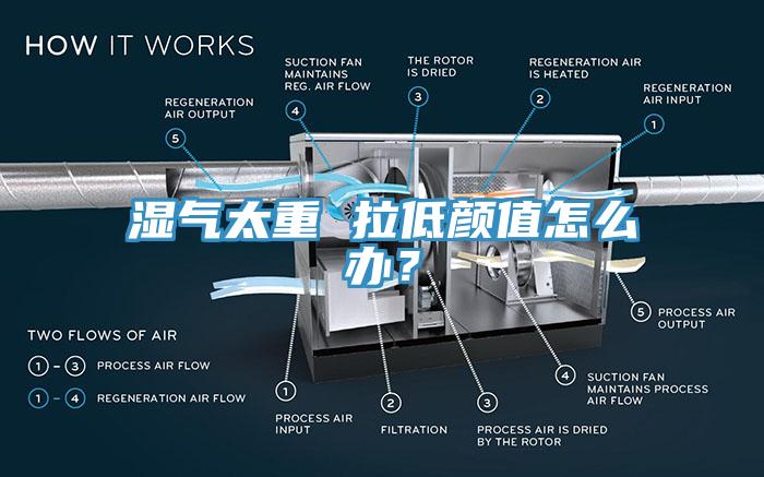 濕氣太重 拉低顏值怎么辦？