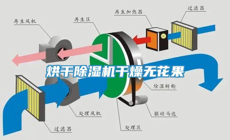 烘干除濕機(jī)干燥無花果