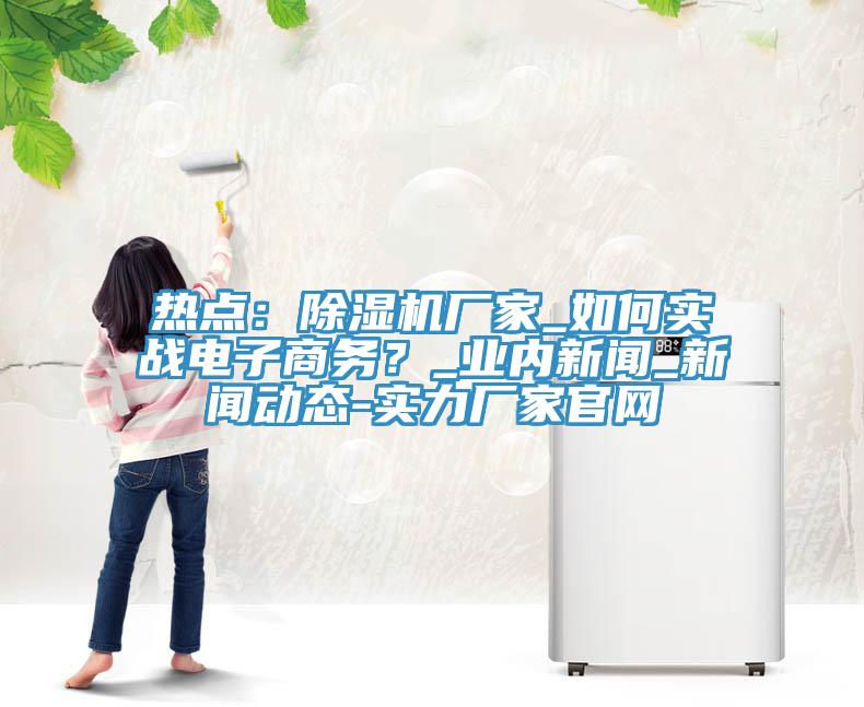 熱點：除濕機廠家_如何實戰(zhàn)電子商務？_業(yè)內(nèi)新聞_新聞動態(tài)-實力廠家官網(wǎng)