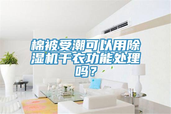 棉被受潮可以用除濕機干衣功能處理嗎？