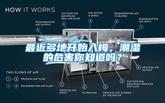 最近多地開始入梅，潮濕的危害你知道嗎？