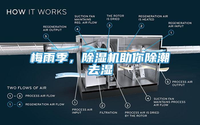 梅雨季，除濕機(jī)助你除潮去濕