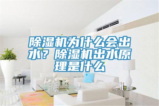 除濕機為什么會出水？除濕機出水原理是什么