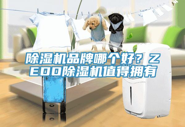 除濕機品牌哪個好？ZEDO除濕機值得擁有