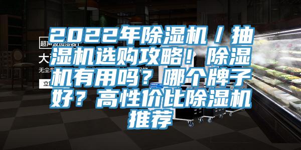 2022年除濕機(jī)／抽濕機(jī)選購攻略！除濕機(jī)有用嗎？哪個牌子好？高性價(jià)比除濕機(jī)推薦