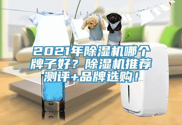 2021年除濕機(jī)哪個(gè)牌子好？除濕機(jī)推薦測評+品牌選購！