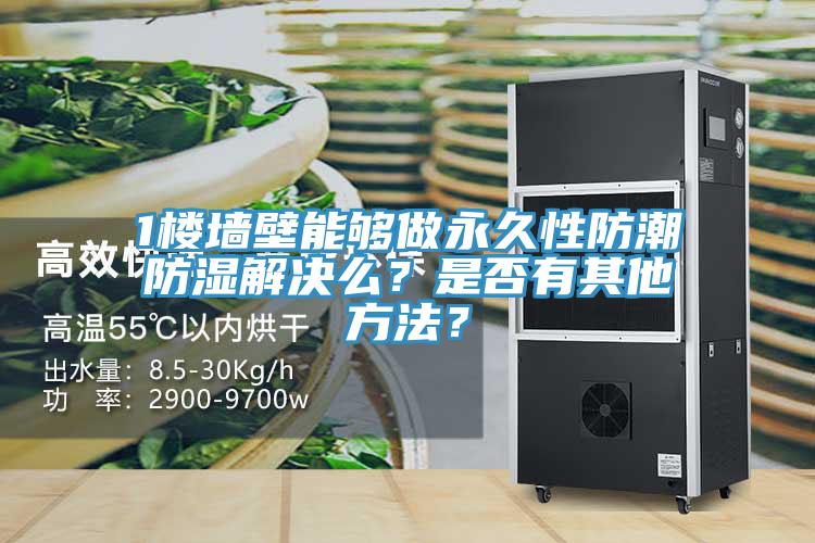 1樓墻壁能夠做永久性防潮防濕解決么？是否有其他方法？