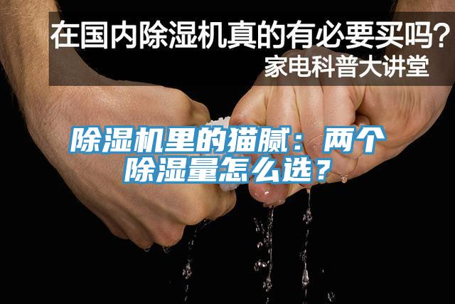 除濕機(jī)里的貓膩：兩個(gè)除濕量怎么選？