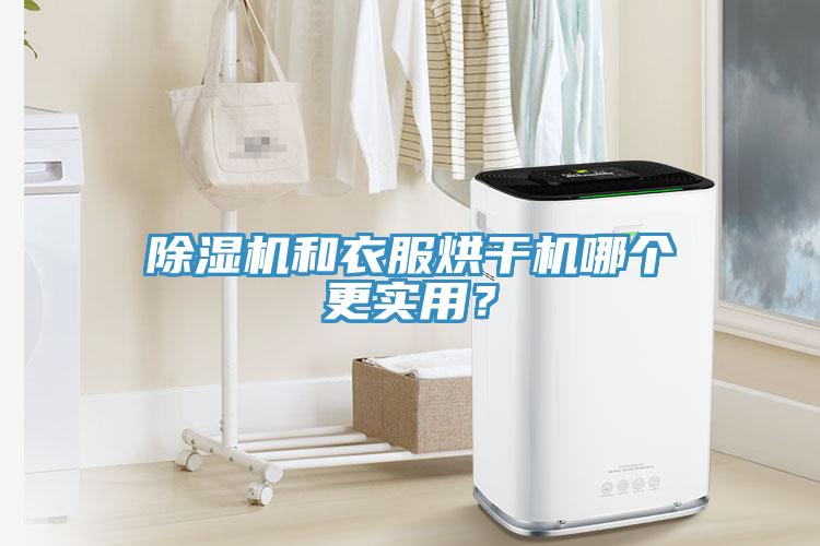 除濕機和衣服烘干機哪個更實用？