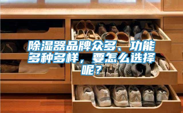 除濕器品牌眾多、功能多種多樣，要怎么選擇呢？