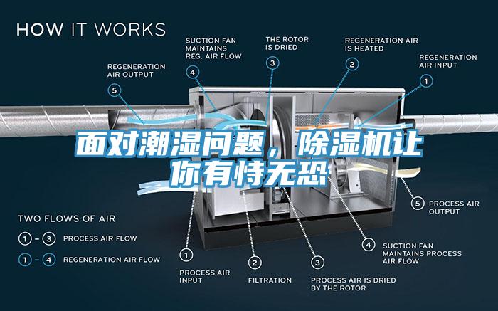 面對(duì)潮濕問題，除濕機(jī)讓你有恃無(wú)恐