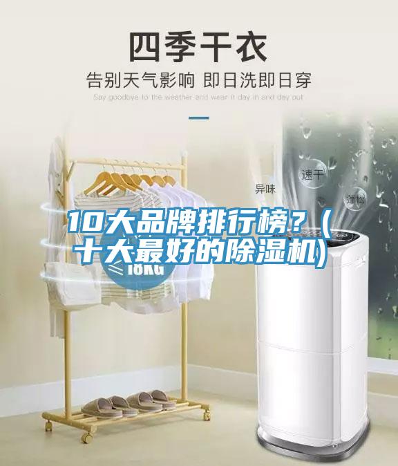 10大品牌排行榜？(十大最好的除濕機(jī))