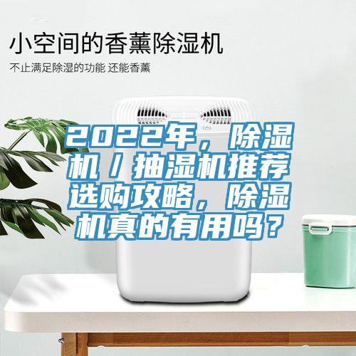 2022年，除濕機／抽濕機推薦選購攻略，除濕機真的有用嗎？