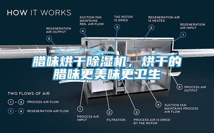 臘味烘干除濕機，烘干的臘味更美味更衛(wèi)生