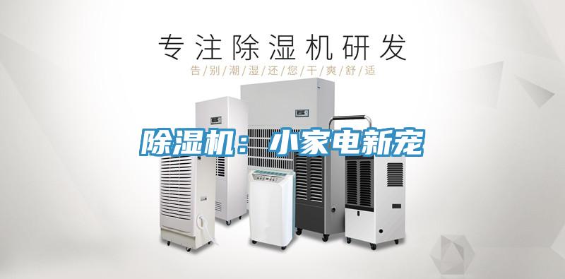 除濕機：小家電新寵