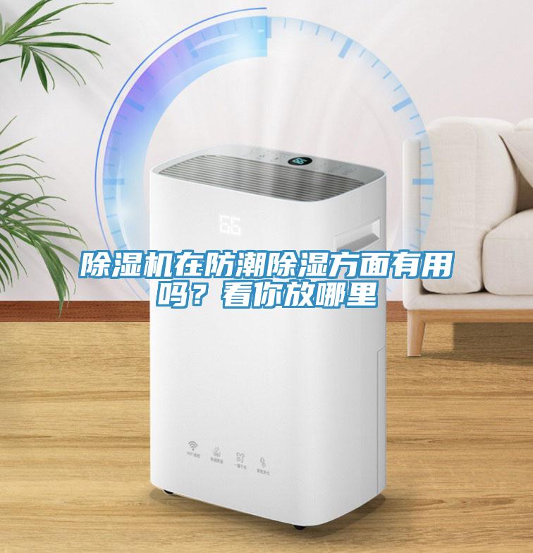 除濕機(jī)在防潮除濕方面有用嗎？看你放哪里