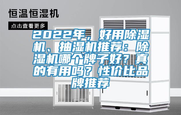 2022年，好用除濕機、抽濕機推薦：除濕機哪個牌子好？真的有用嗎？性價比品牌推薦