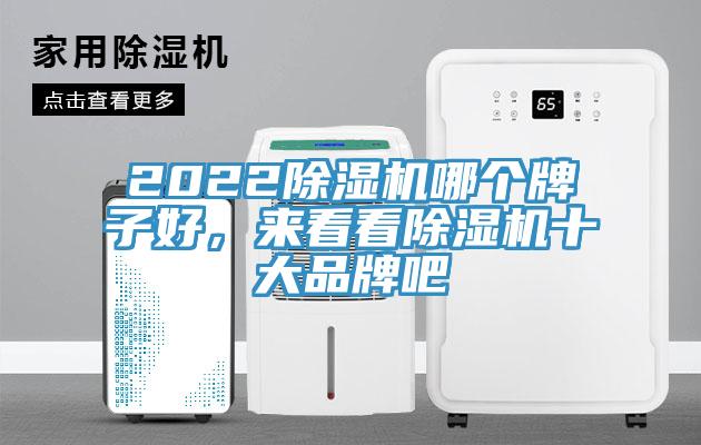 2022除濕機哪個牌子好，來看看除濕機十大品牌吧