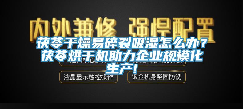 茯苓干燥易碎裂吸濕怎么辦？茯苓烘干機助力企業(yè)規(guī)?；a(chǎn)!