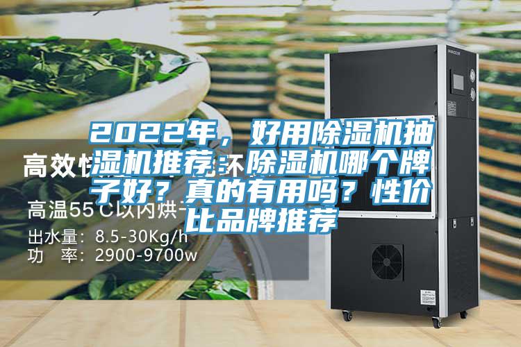 2022年，好用除濕機抽濕機推薦：除濕機哪個牌子好？真的有用嗎？性價比品牌推薦