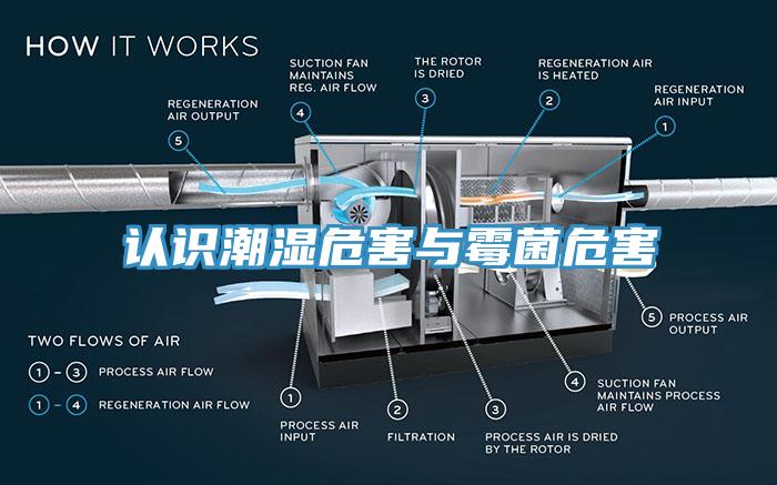 認識潮濕危害與霉菌危害