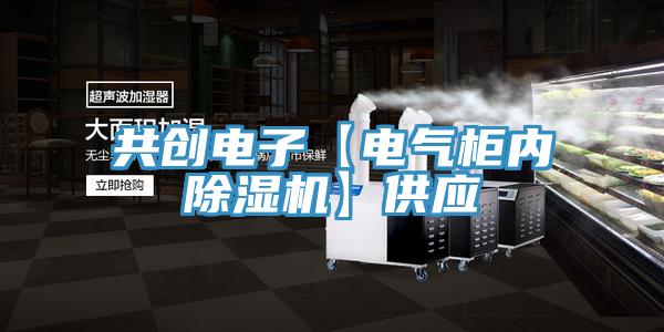 共創(chuàng)電子【電氣柜內(nèi)除濕機】供應