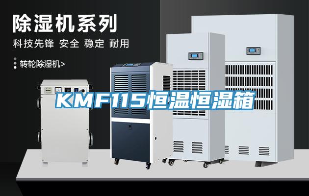 KMF115恒溫恒濕箱