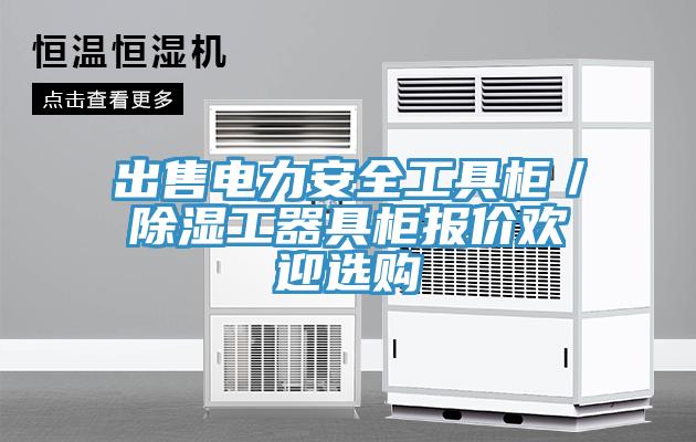 出售電力安全工具柜／除濕工器具柜報價歡迎選購