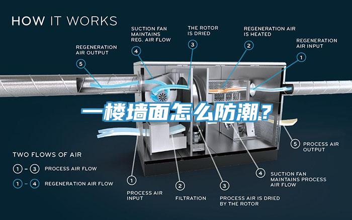 一樓墻面怎么防潮？