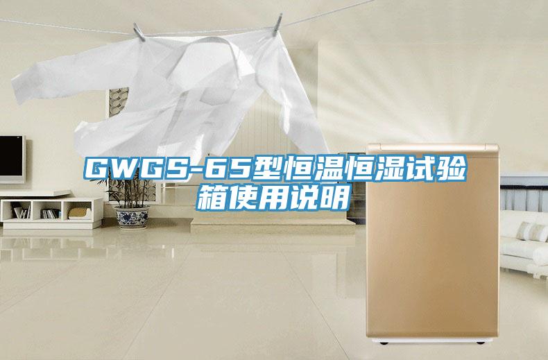 GWGS-65型恒溫恒濕試驗箱使用說明